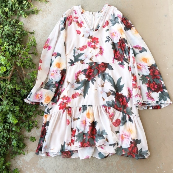 Cooper St Dresses & Skirts - Cooper St Rosa Floral Chiffon Mini Dress